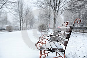 Bench covered with fresh snow on storm day in city park.