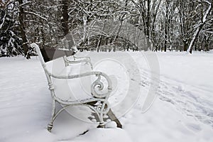 Bench covered with snow