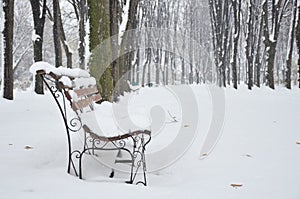 Bench covered in snow