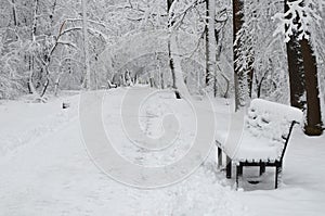 Bench covered with snow in the city park in winter