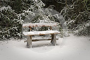 Bench covered with snow in the park