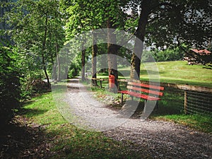 A bench dappled by light and shadows by the side of a trail leading into the woods by a log cabin and meadow in Lauterbrunnen,