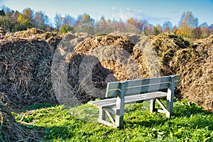 Bench with a disappointing view