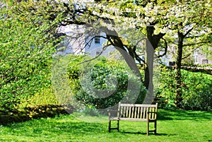 Bench in an English contry garden