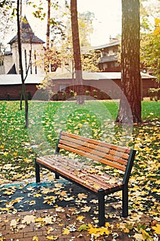 Bench with fallen yellow leaves in autumn park