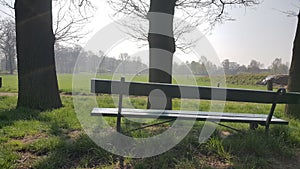 Bench in a Field