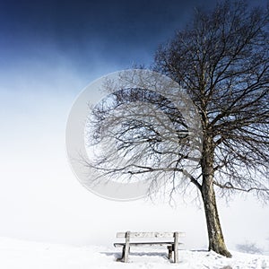 Bench, foggy winter day 143