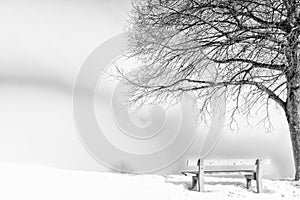 Bench, foggy winter day