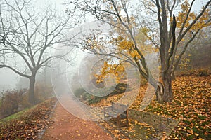 Bench and footpath in an autumn