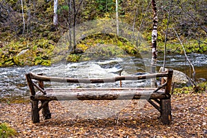 Bench in forest. wooden bench on the riverbank. colorful landscapes on an autumn day. the concept of travel and recreation. photo