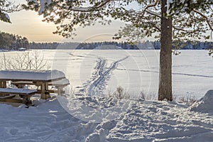 Bench in front of Frozen Lake with Ski Tracks