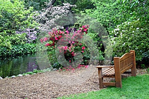 Bench in the garden