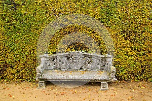 Bench garden background