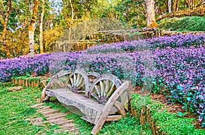 The bench in garden, Mae Fah Luang Arboretum, Doi Chang Moob, Thailand