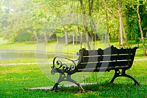 Bench in garden in sunny day nobody.