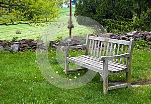 Bench in Grass Area