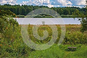 bench, green grass, river