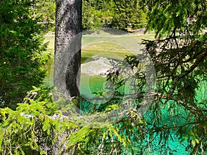 Bench At Green Lake Austria