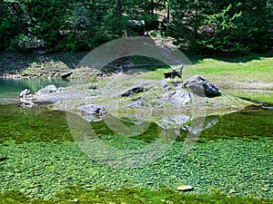 Bench At Green Lake Austria