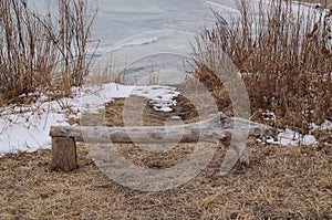 A bench with a sea view