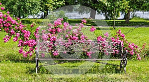 Bench in Herastrau Park Bucuresti Romania - colorful flowers and lake in background photo