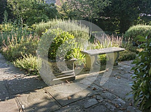 Bench in a Herb Garden