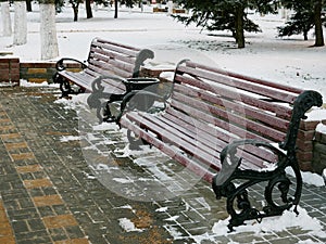 Bench in hoarfrost in the park in winter