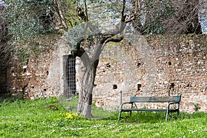 Bench invites you to line up at the Roman Forum, Rome, Italy, Eu