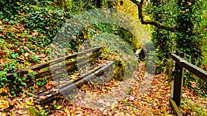 Bench Ioannina Thoegefiro Epirus Greece natural bridge in green