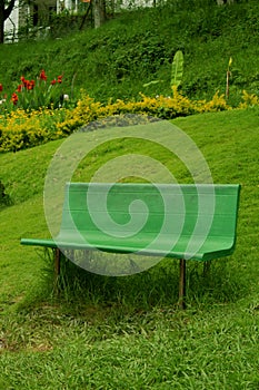 A bench in the kodaikanal hill chettiar park.