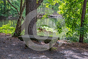 Bench at the lake along the trails