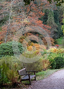 Bench by the lake at Stourhead National Trust property near Warminster in Wiltshire UK. Photographed in autumn.