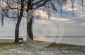 Bench. Lake. Water. Leman. Sunrise. Color. Sky