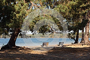 Bench on the lakeshore