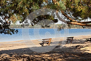 Bench on the lakeshore