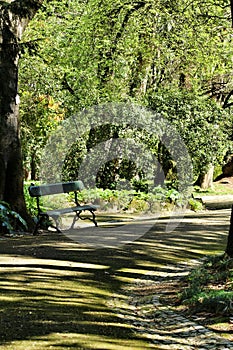 Bench in a Leafy and green garden in Lisbon