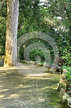 Bench in a Leafy and green garden in Sintra