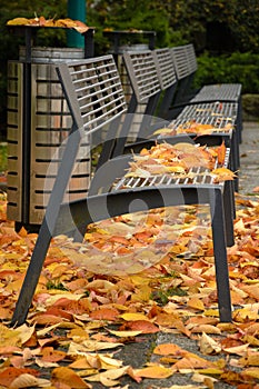 Bench with leaves in town photo