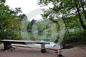 Bench Looking into Green Lake and Calming Scenery photo