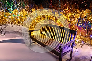 A bench in a magical winter garden in the snow with a fabulous illumination of plants around with magical lights and garlands.