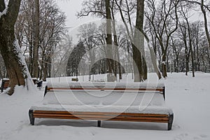 Bench in Mariinsky Park in Kiev