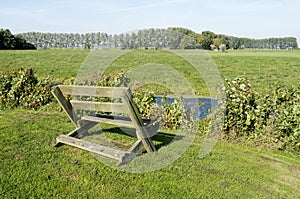 Bench in the meadows.