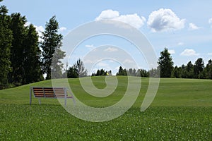 Bench nature leisure