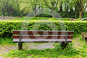 Bench nature park spacious