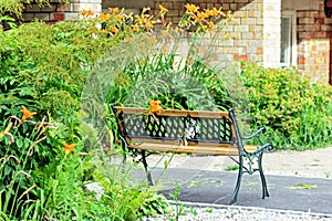 Bench near house among flowers