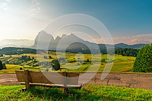 Bench with nobody in Italian Dolomiti Alps during sunrise. Seiser Alm or Alpe di Siusi location, South Tyrol, Italy