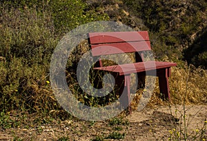 A Bench in O`Neill Regional Park