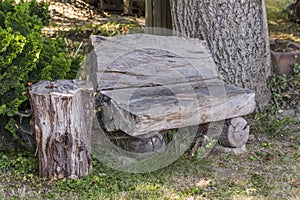 Bench from old tree trunk