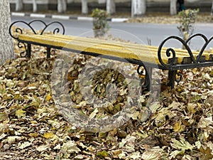 Bench for outdoor recreation in autumn leaves. Park bench in autumn time.