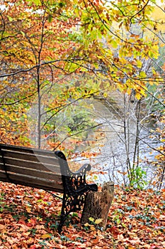 Bench overlooking the Betsie River in the fall. photo